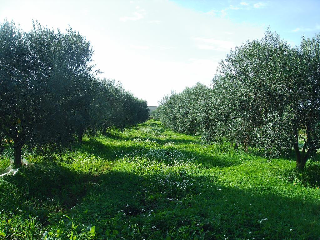 Casale Stagnone